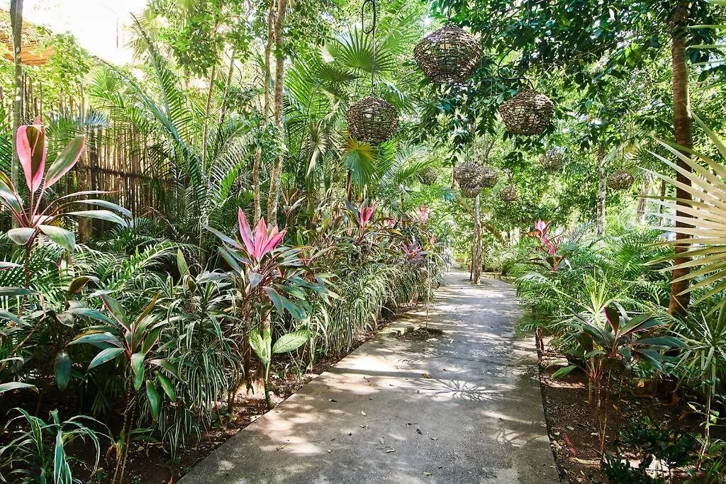 Nuuch Classy Ph W/ Private Pool/Rooftop, Aldea Zama Tulum